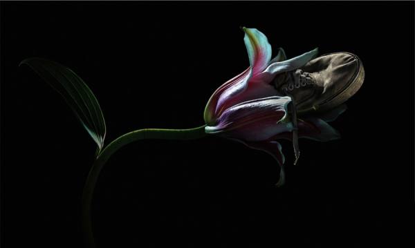 Photograph Chub Nokkaew Lily on One Eyeland