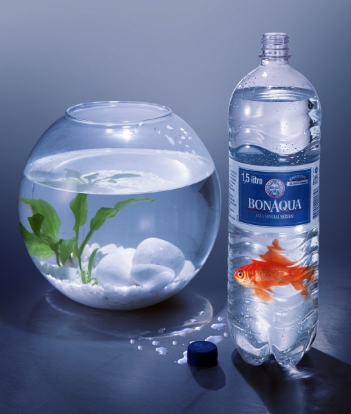 Photograph Mauro Risch Mineral Water on One Eyeland