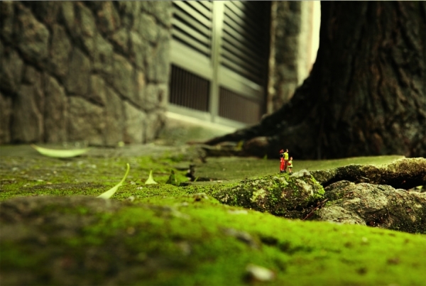 Photograph Mario Coelho Minis on One Eyeland