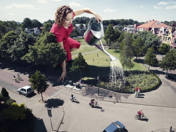 Photograph Arno Bosma More_green on One Eyeland