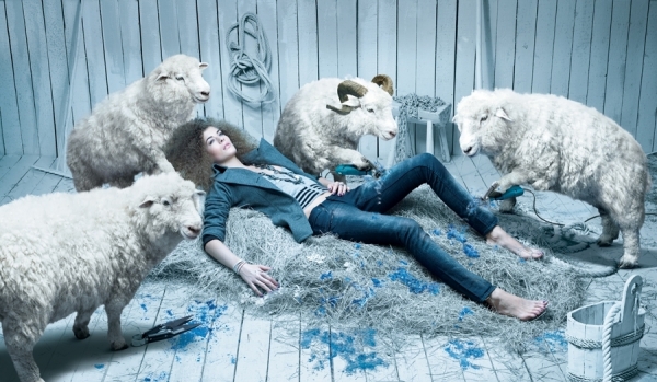 Photograph Prasad Naik Sheep on One Eyeland