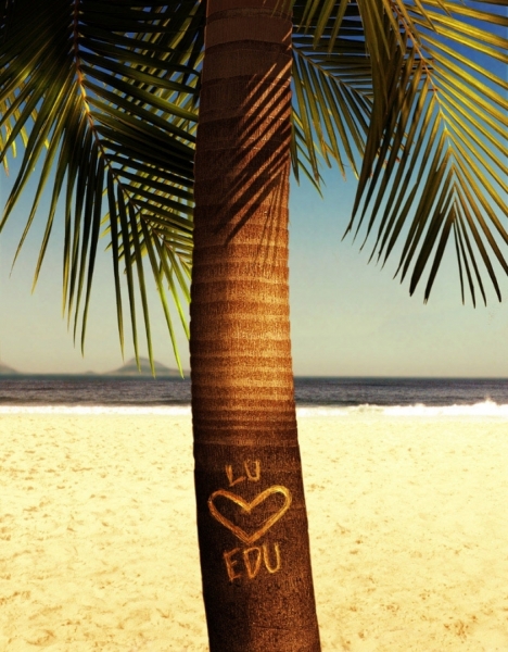 Photograph Mauro Risch Palm Tree on One Eyeland