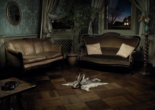 Photograph Davide Bellocchio Rabbit on One Eyeland