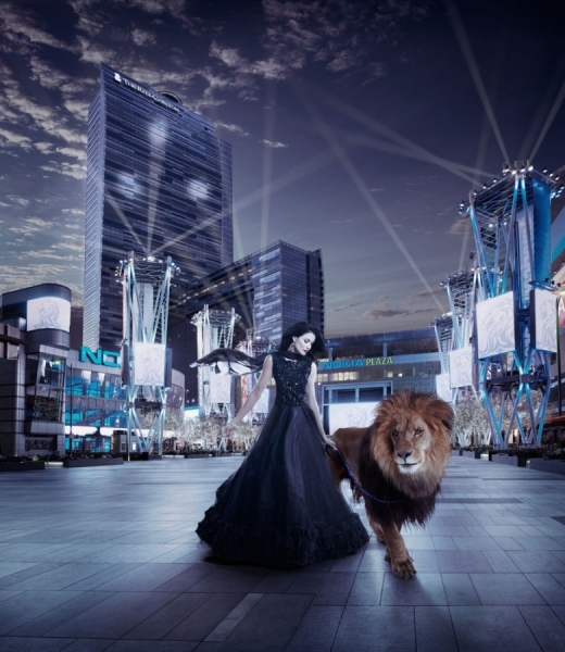 Photograph Erik Almas Ritz Lion on One Eyeland