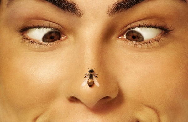 Photograph Mauro Risch The Bee on One Eyeland