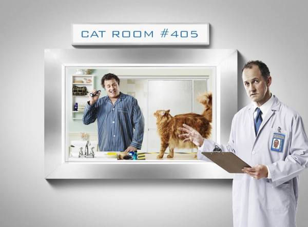 Photograph Ian Pool The Cat Room on One Eyeland