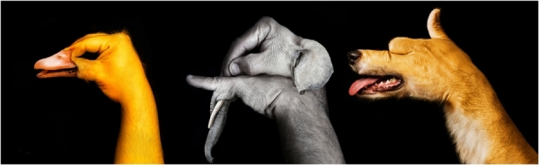 Photograph Moshe Nachumovich The World In Our Hands on One Eyeland