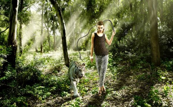 Photograph Paolo Cecchin Tiger on One Eyeland