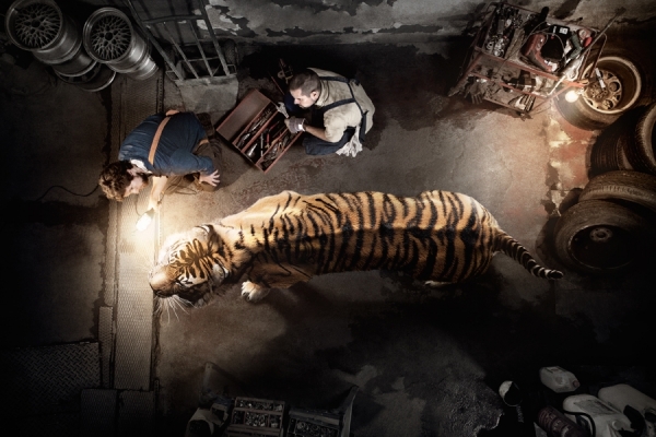 Photograph Gonzaga Manso Wwf Extinction Cant Be Fixed on One Eyeland