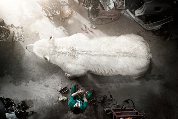 Photograph Gonzaga Manso Wwf Extinction Cant Be Fixed on One Eyeland