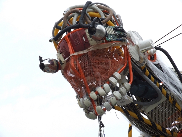 Photograph Steve Weaver Recycled T Rex on One Eyeland
