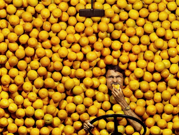 Photograph Marcus Hausser Oranges on One Eyeland