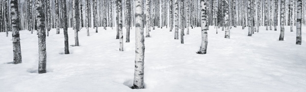 Photograph Egon Gade Birch on One Eyeland