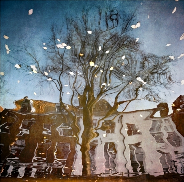 Photograph Ruby Blue Amsterdam on One Eyeland