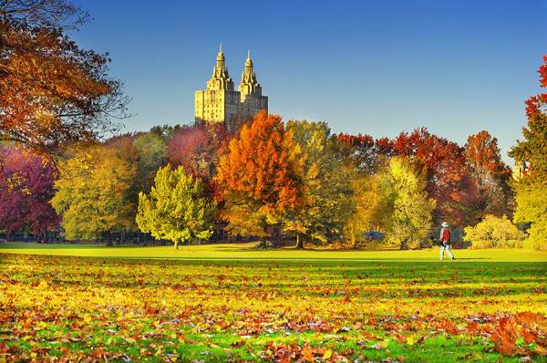 Photograph Mitchell Funk Autumn Cp on One Eyeland