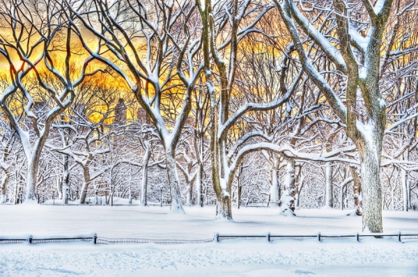 Photograph Mitchell Funk Central Park At Sunrise on One Eyeland