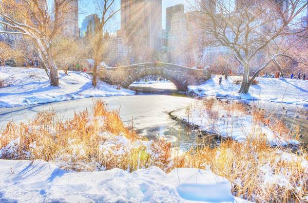 Photograph Mitchell Funk Central Park Bridge In The Snow on One Eyeland