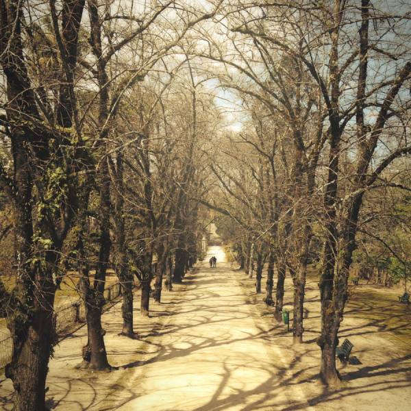 Photograph Samuka Marinho Coimbra on One Eyeland