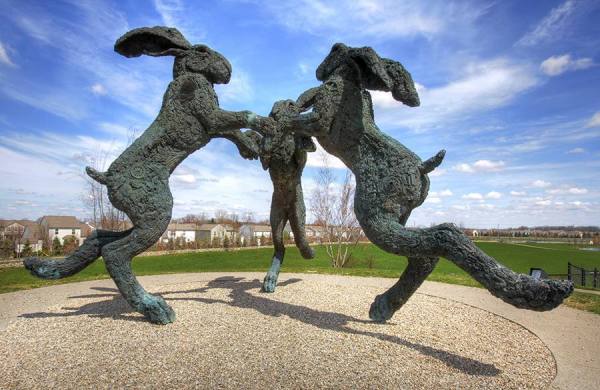 Photograph Larry Hamill Dancing Hares on One Eyeland