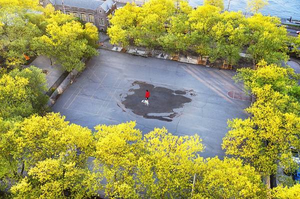 Photograph Mitchell Funk Elevated View on One Eyeland