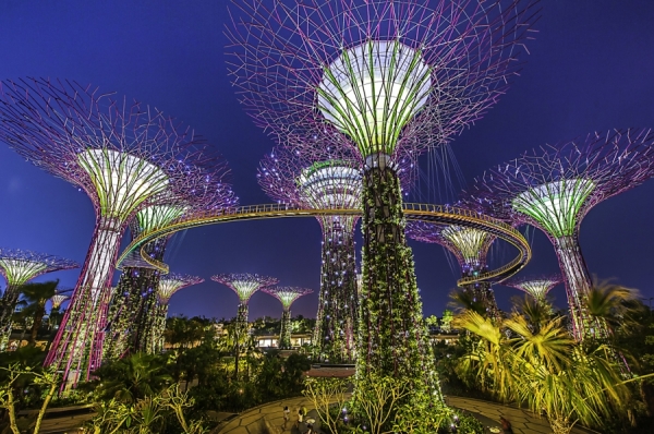 Photograph Welly Agus Garden By The Bay on One Eyeland