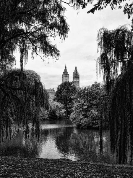 Photograph Mauro Risch Gotham on One Eyeland