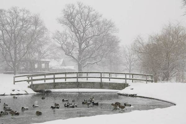 Photograph Larry Hamill Schiller Pond on One Eyeland