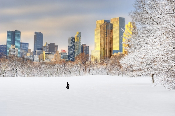Photograph Mitchell Funk Sheep Meadow Snow on One Eyeland