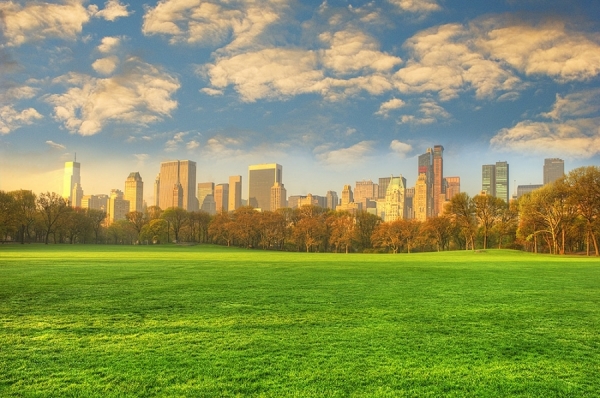 Photograph Mitchell Funk Skyline At Sunrise From Central Park on One Eyeland