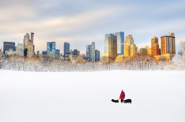 Photograph Mitchell Funk The Dog Walker on One Eyeland