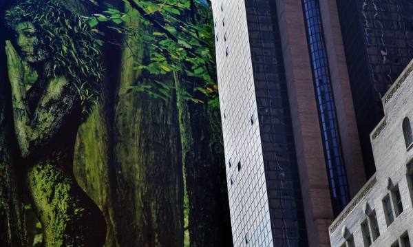 Photograph Lilyan Aloma The Jungle on One Eyeland