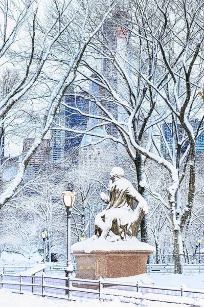 Photograph Mitchell Funk The Literary Mall on One Eyeland