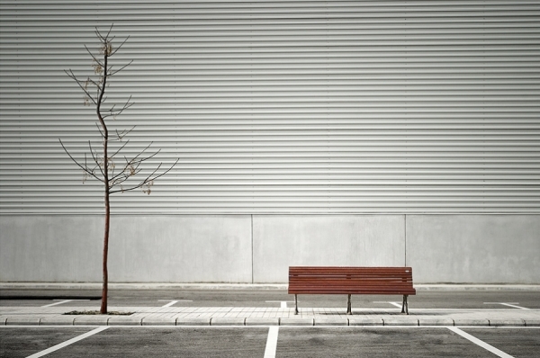 Photograph David Ruiz The Tree And The Bench on One Eyeland