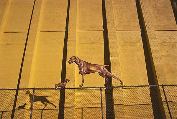 Photograph Robert Funk Two Dogs On Fense on One Eyeland