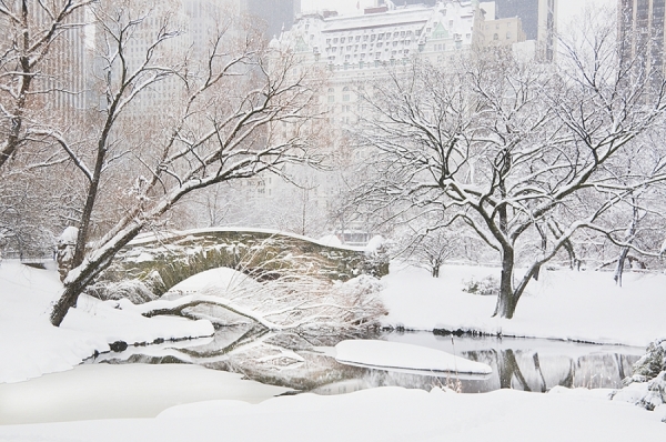 Photograph Mitchell Funk White Park on One Eyeland