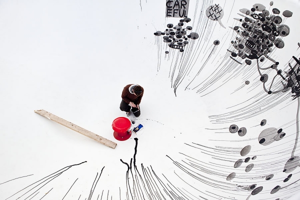 Photograph Mads Frederik Christensen Bird on One Eyeland
