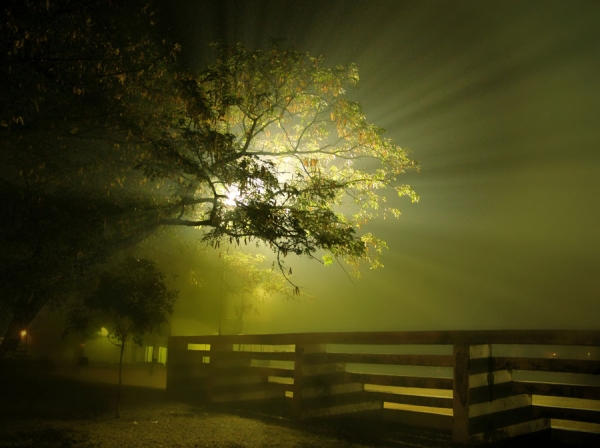Photograph Victor Mukherjee Dreamy Light on One Eyeland