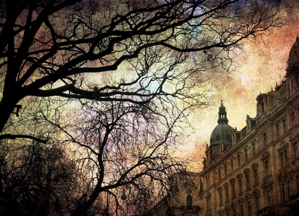 Photograph Afroditi Mavroeidi Rathaus Wien on One Eyeland