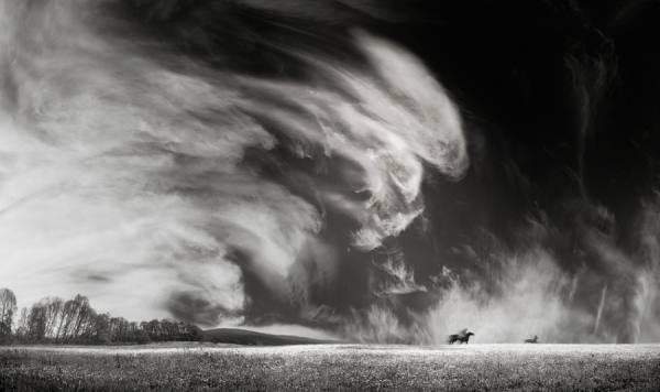 Photograph Valeri Simov Eternal Hunting Grounds on One Eyeland