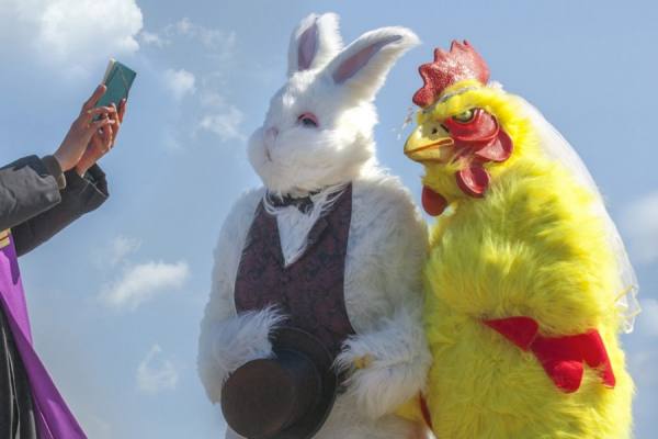 Photograph David Krovblit Birth Of The Easter Bunny Marriage on One Eyeland