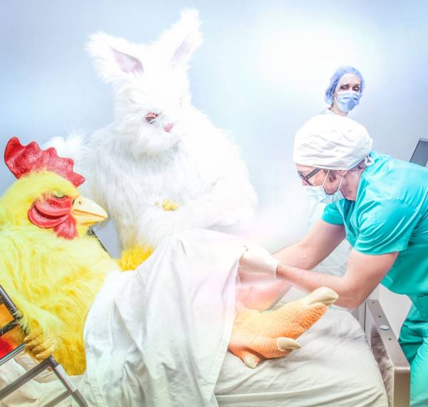 Photograph David Krovblit Birth Of The Easter Bunny Delivery on One Eyeland
