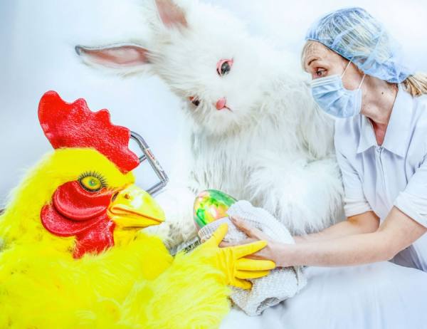 Photograph David Krovblit Birth Of The Easter Bunny Birth on One Eyeland