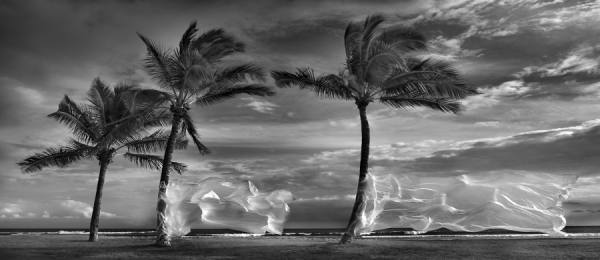 Photograph Rafal Maleszyk Ocean Flags on One Eyeland
