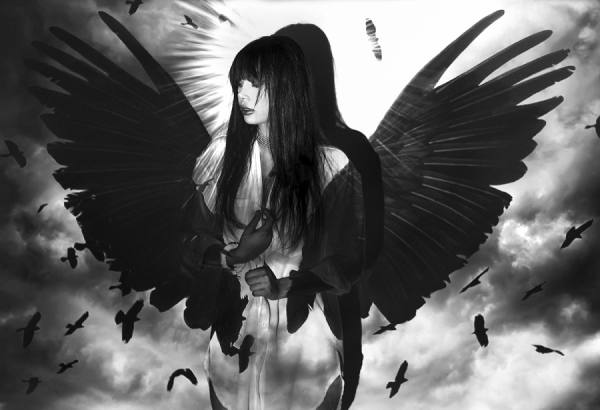 Photograph Cemal Samli Raven on One Eyeland