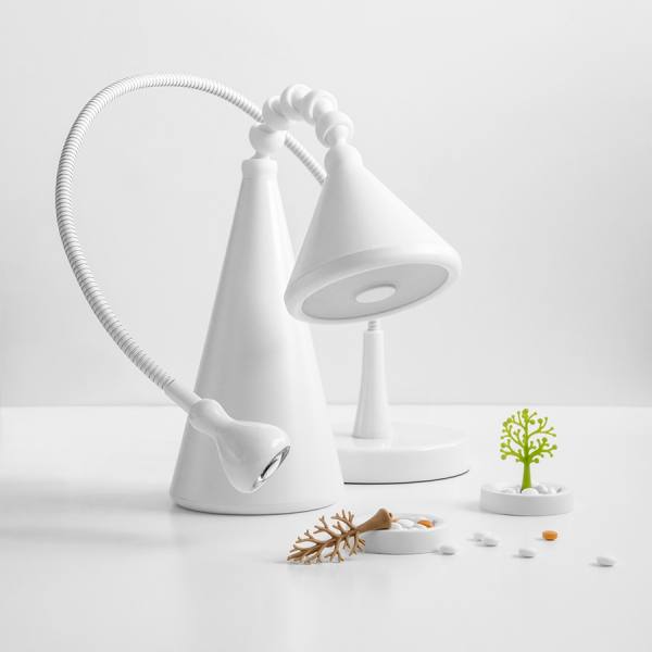 Photograph Elena Bolshakova Another Life Of Objects on One Eyeland