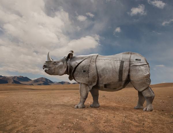 Photograph John Lund Bio Rhino on One Eyeland