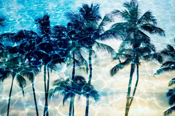 Photograph John Lund Tropical Vacation on One Eyeland