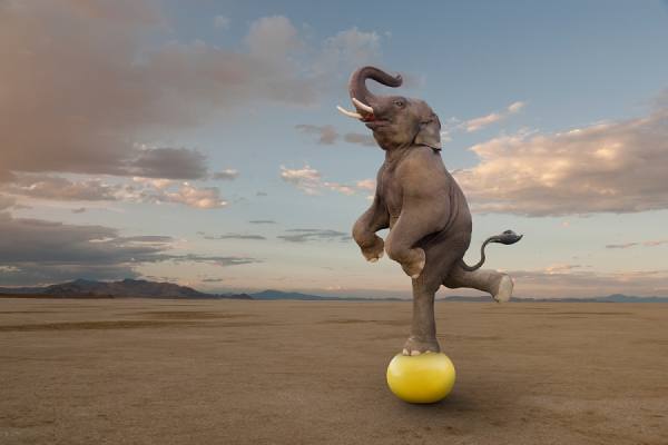 Photograph John Lund Big Balance on One Eyeland