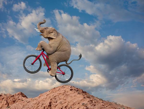 Photograph John Lund Big Ride on One Eyeland