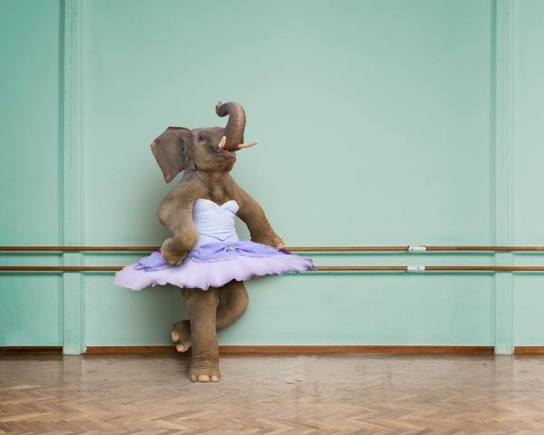 Photograph John Lund Dancing Dreams on One Eyeland